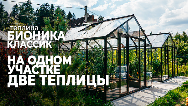 Две теплицы БИОНИКА на одном участке