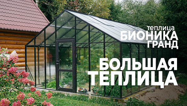 Теплица БИОНИКА Гранд